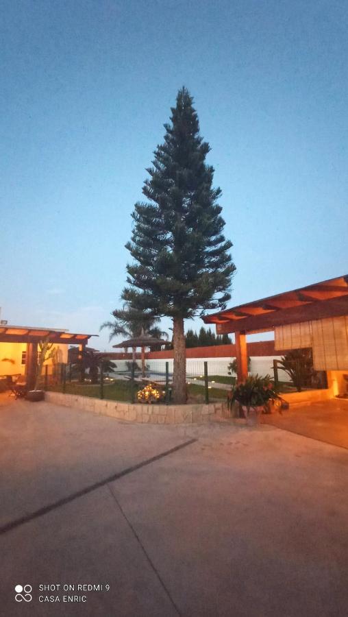 Villa Casa de sueños Benasha Deltebre Exterior foto